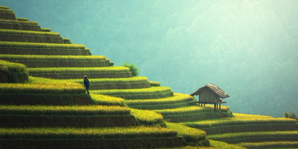 rice-terraces-china